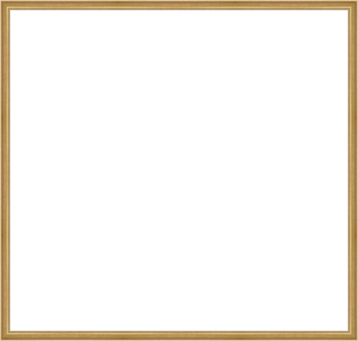 Light Gold Frame. Inside: 39x37. Final Size: 38'' X 40''