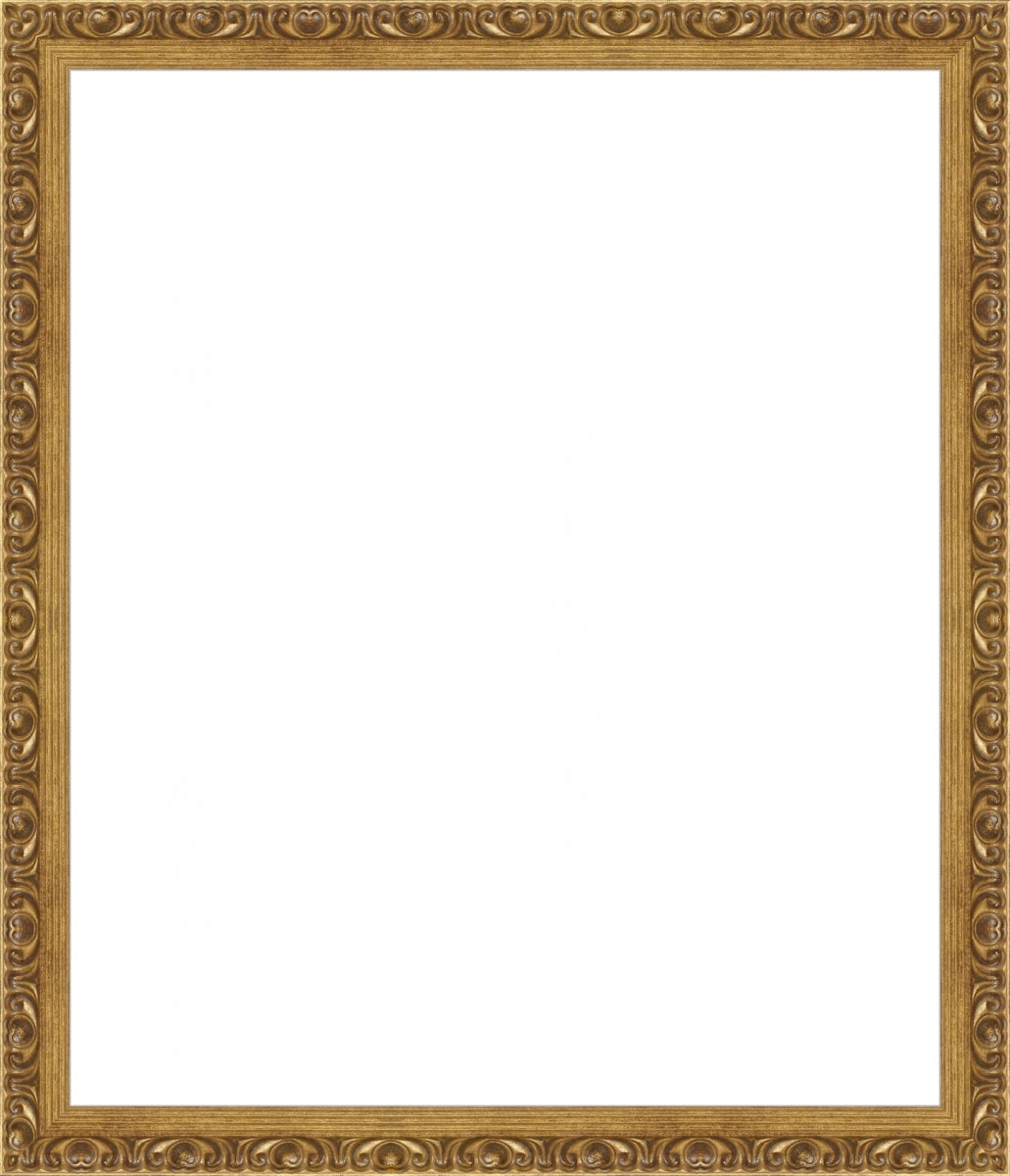 PURESALTGold Ornate Frame. Inside: 16x19. Final Size: 18x21
