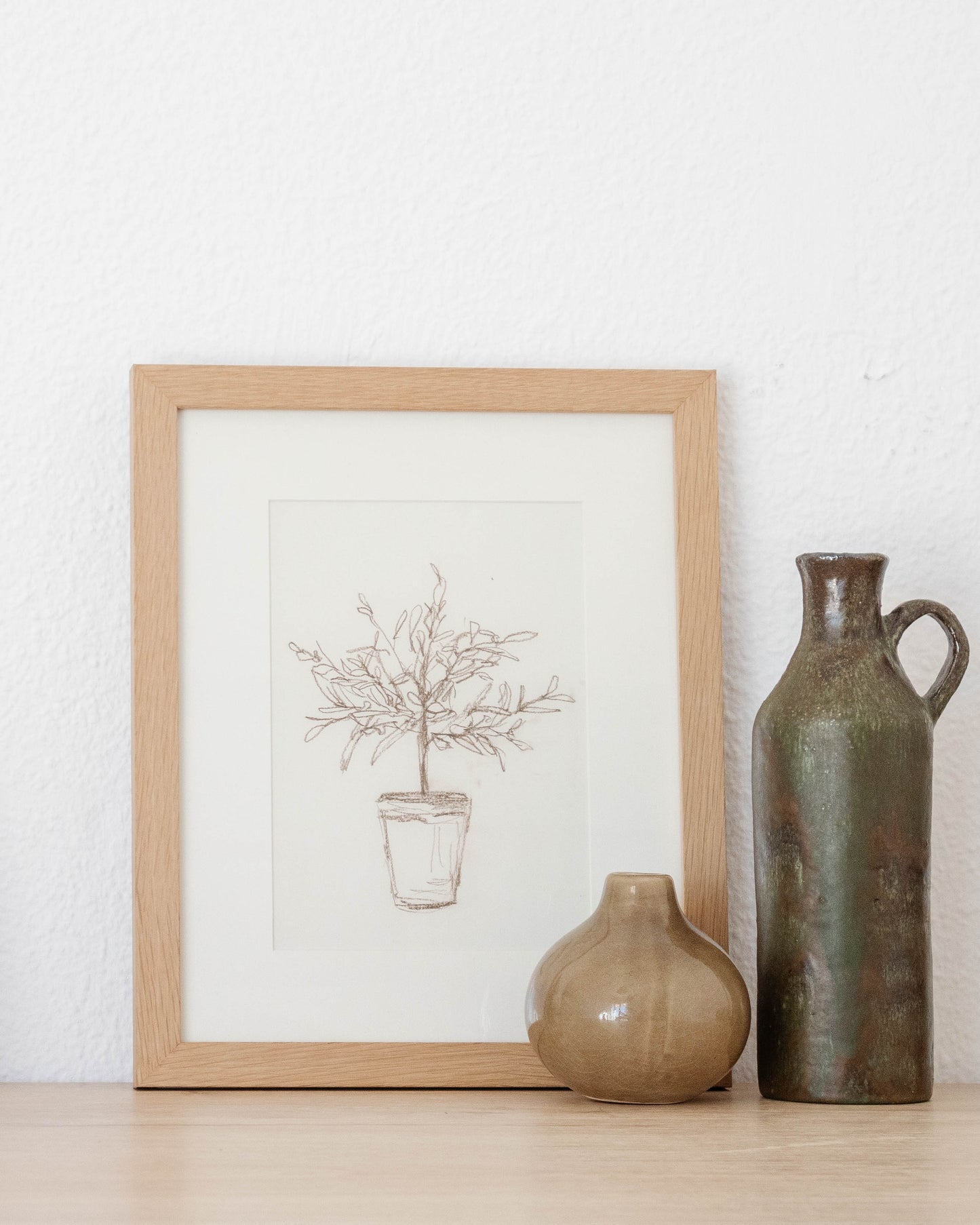 Olive Tree Sketch