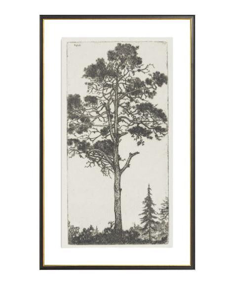 Trees Etching 1