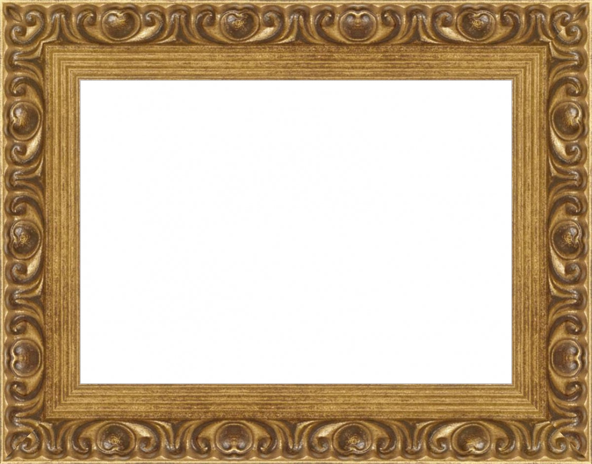Gold Ornate. Inside: 7x5. Final Size: 9x7
