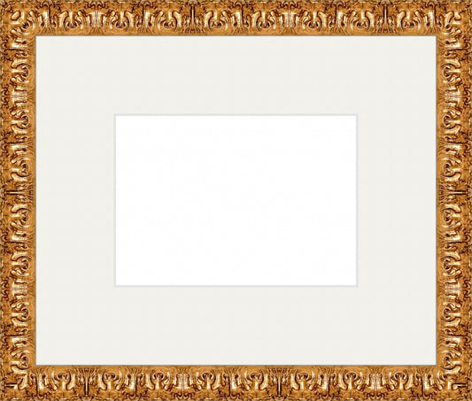 Valencia Gold Frame. Inside: 7x5. Final Size: 11'' X 13''