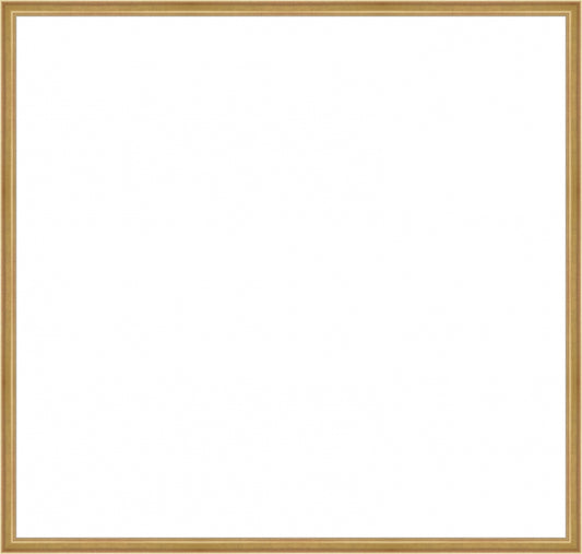 Light Gold Frame. Inside: 39x37. Final Size: 38'' X 40''