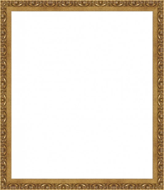 PURESALTGold Ornate Frame. Inside: 16x19. Final Size: 18x21