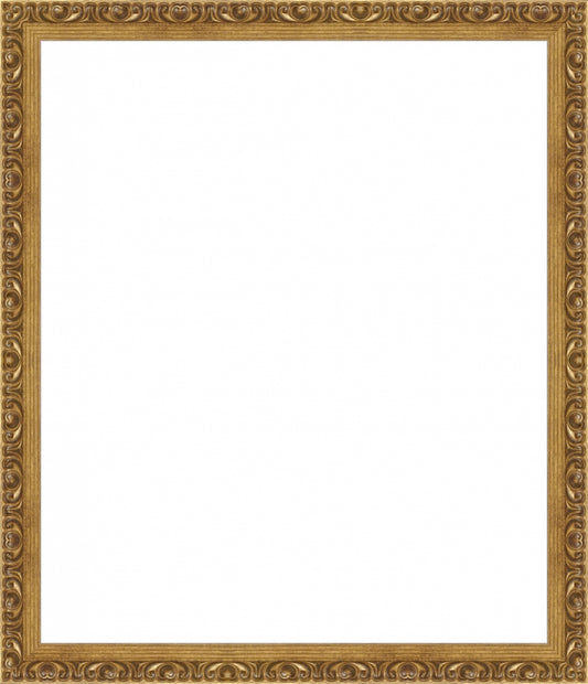 PURESALTGold Ornate Frame. Inside: 16x19. Final Size: 18x21