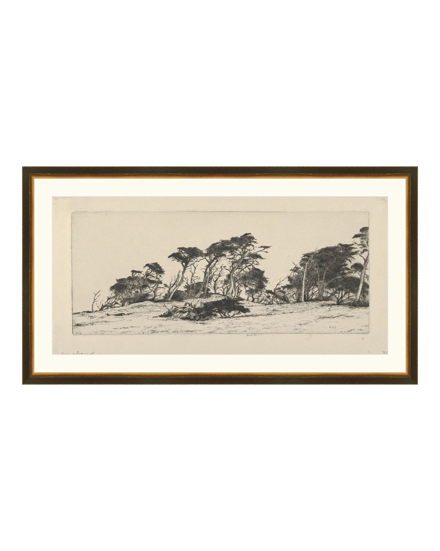 Forest Etching 2