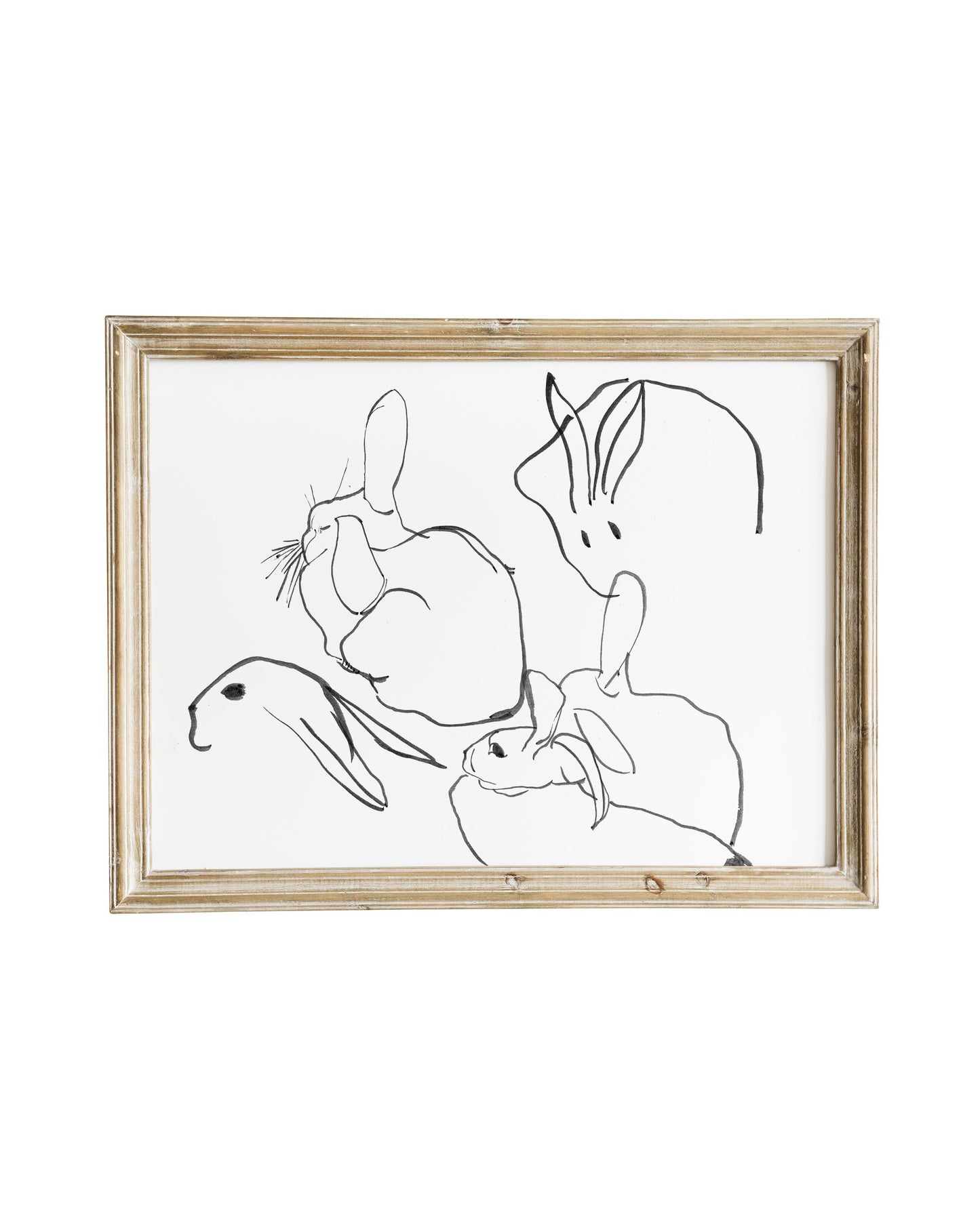 Rabbits