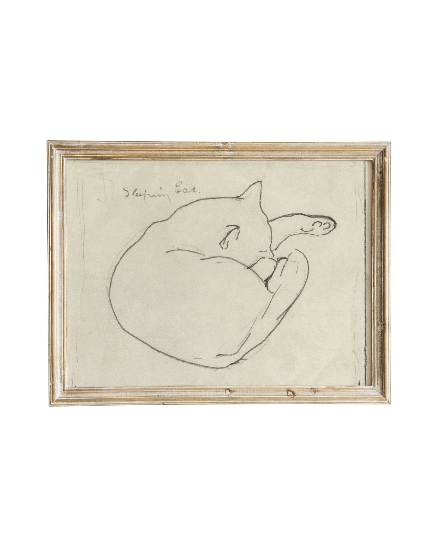 Sleeping Cat