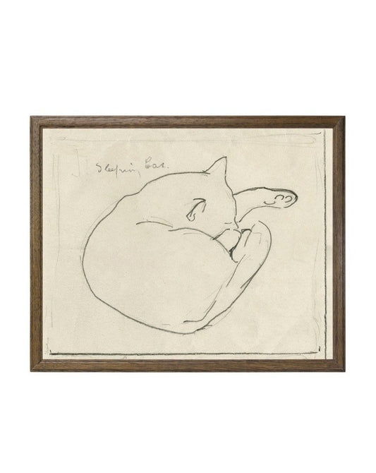 Sleeping Cat