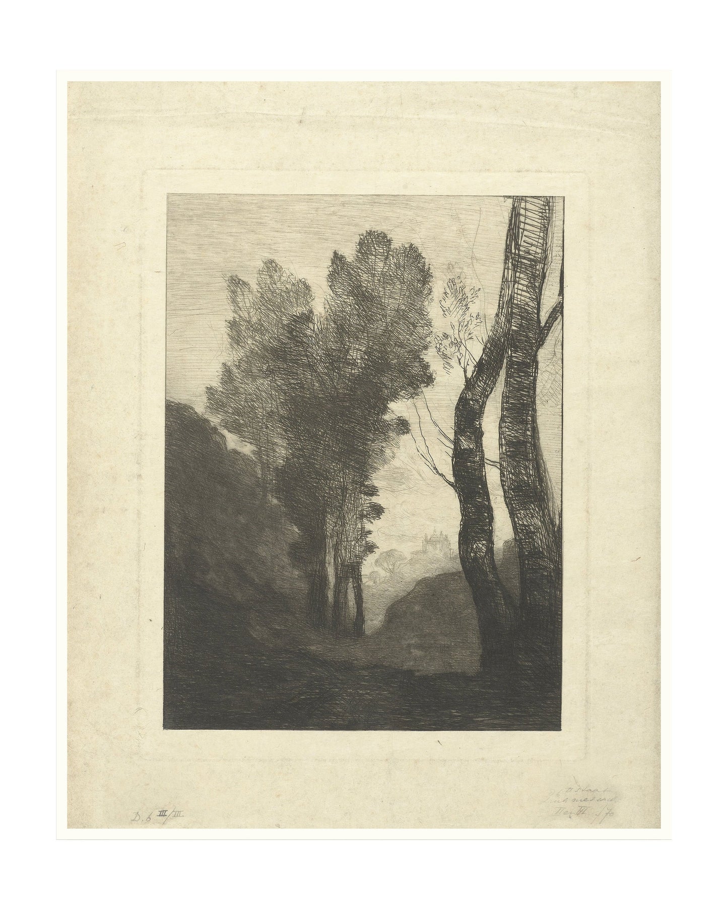 TREES