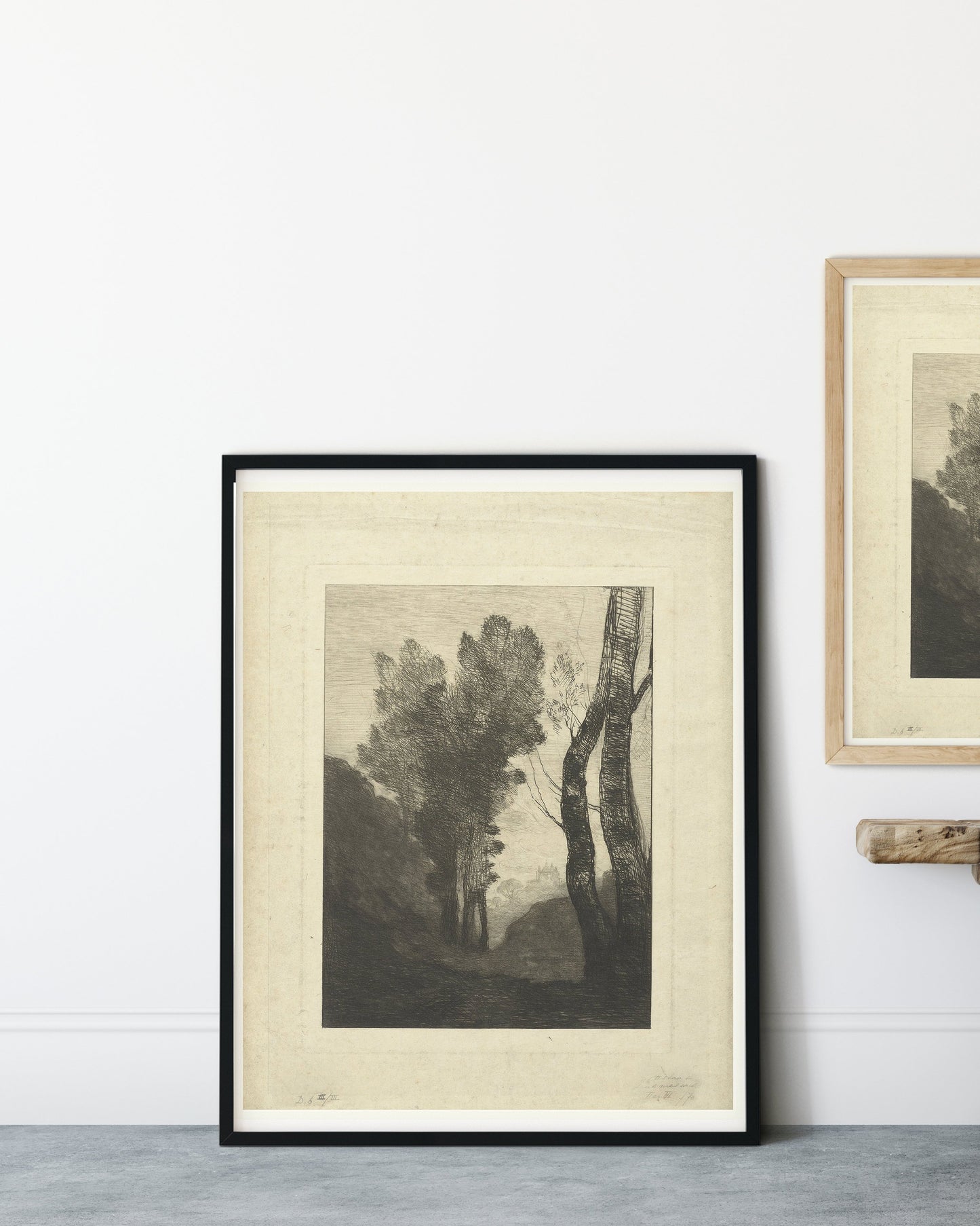 TREES