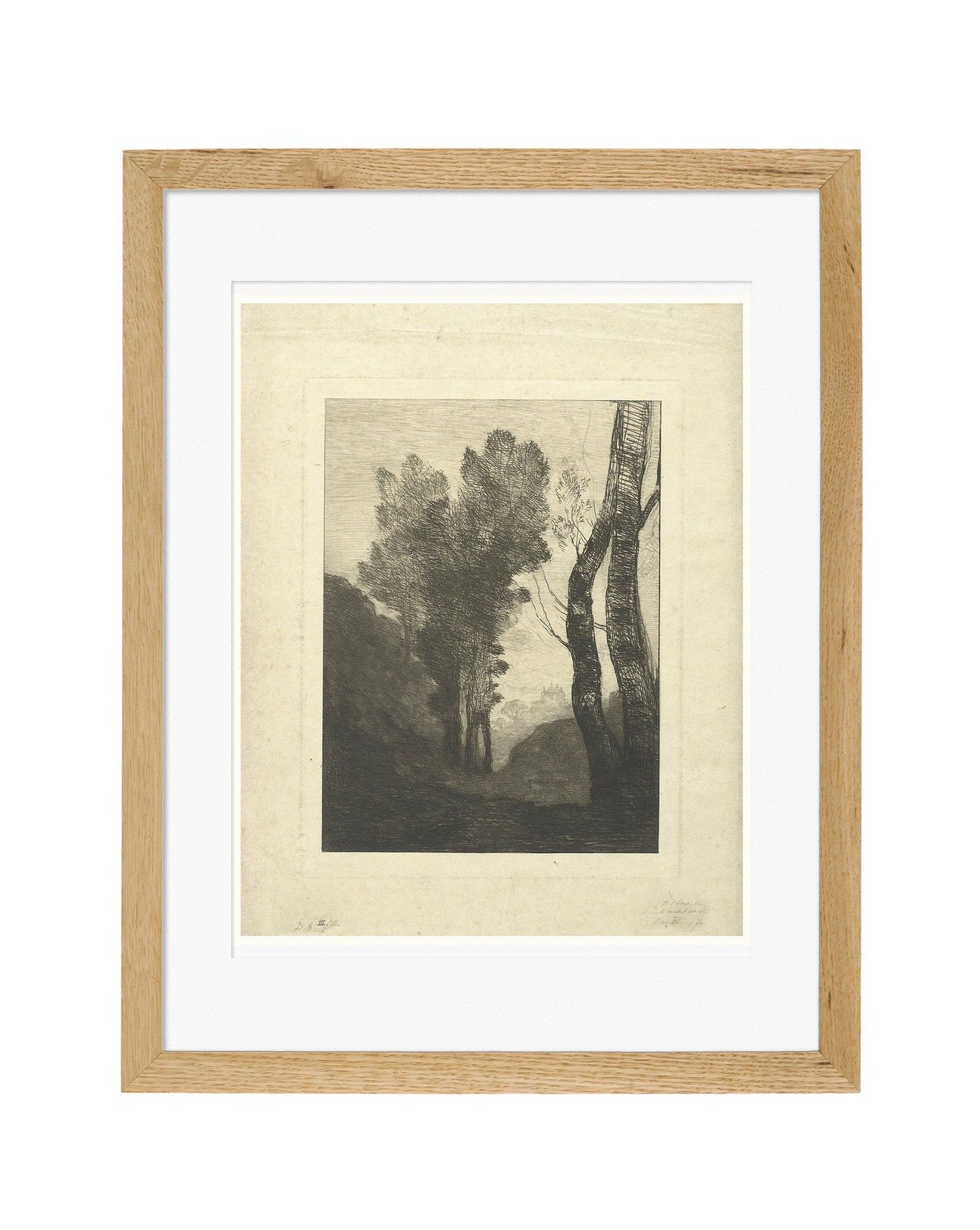 TREES